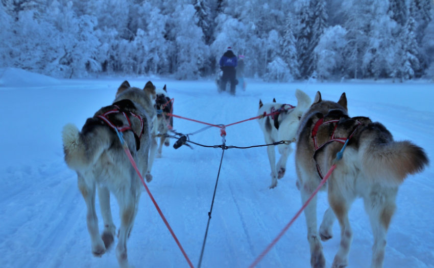 Favorite Destinations