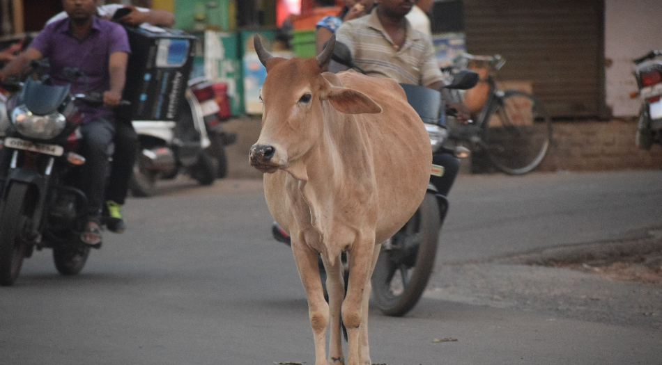 When not to go to India