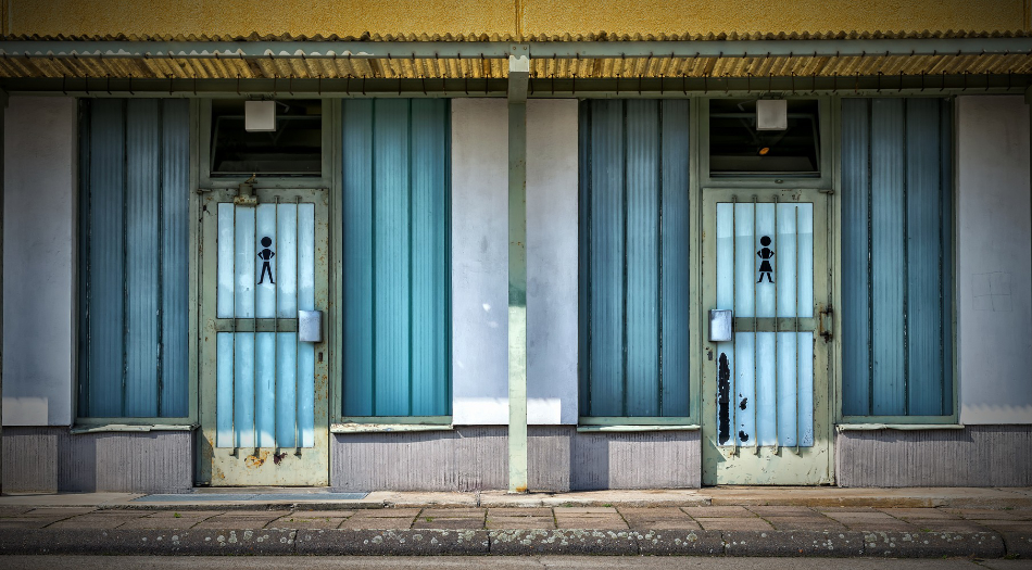 Ultimate Traveler's Toilet Guide